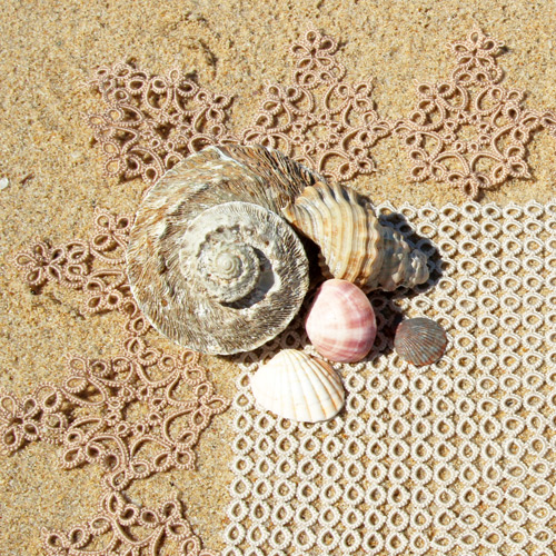 Seashells arranged on a handmade tatting doily on sandy beach